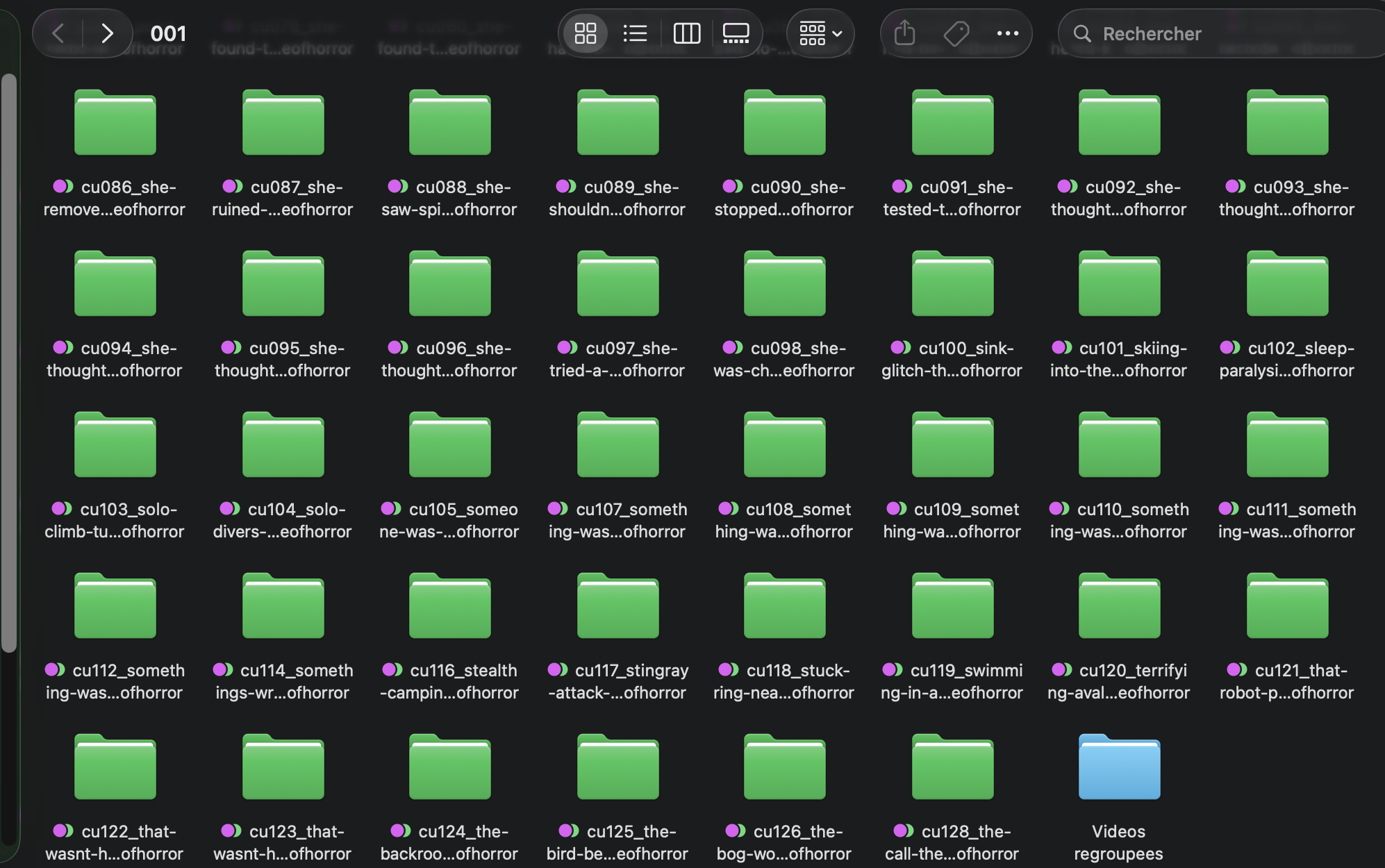 Capture du pack de videos generees